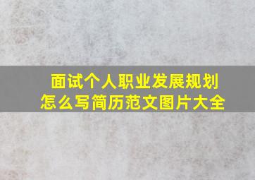 面试个人职业发展规划怎么写简历范文图片大全