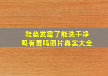 鞋垫发霉了能洗干净吗有毒吗图片真实大全