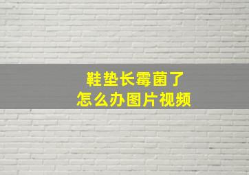 鞋垫长霉菌了怎么办图片视频