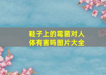 鞋子上的霉菌对人体有害吗图片大全