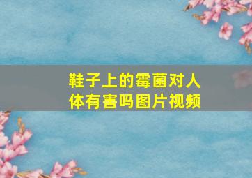 鞋子上的霉菌对人体有害吗图片视频