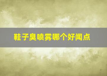 鞋子臭喷雾哪个好闻点