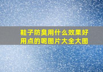 鞋子防臭用什么效果好用点的呢图片大全大图