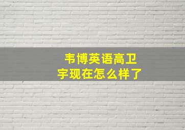 韦博英语高卫宇现在怎么样了