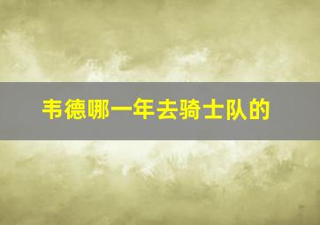 韦德哪一年去骑士队的