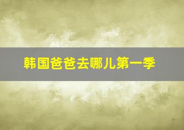 韩国爸爸去哪儿第一季