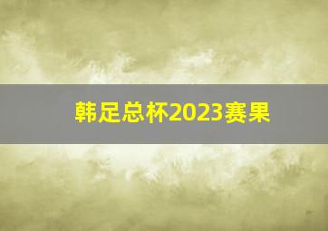 韩足总杯2023赛果