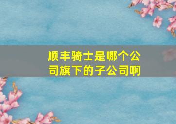 顺丰骑士是哪个公司旗下的子公司啊