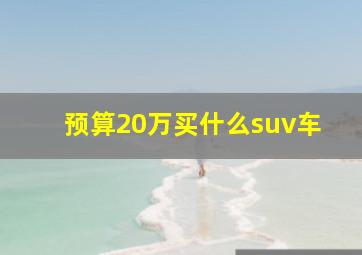 预算20万买什么suv车