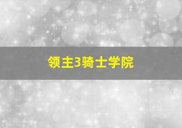 领主3骑士学院