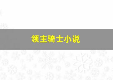 领主骑士小说