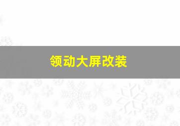 领动大屏改装