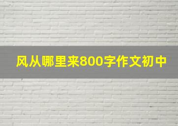 风从哪里来800字作文初中