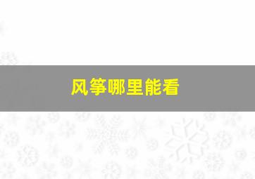 风筝哪里能看