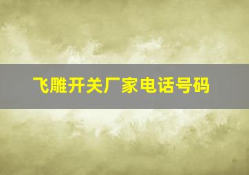 飞雕开关厂家电话号码