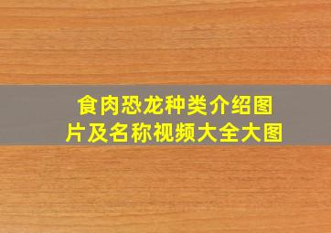 食肉恐龙种类介绍图片及名称视频大全大图