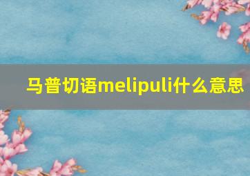 马普切语melipuli什么意思