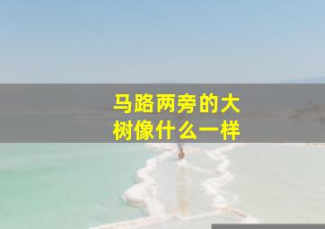 马路两旁的大树像什么一样