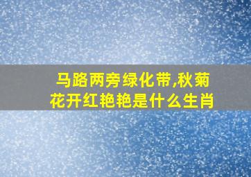 马路两旁绿化带,秋菊花开红艳艳是什么生肖