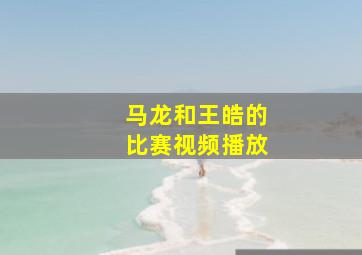 马龙和王皓的比赛视频播放