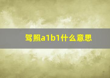 驾照a1b1什么意思