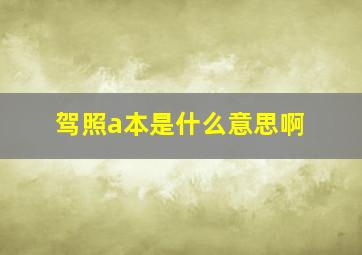 驾照a本是什么意思啊