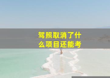 驾照取消了什么项目还能考