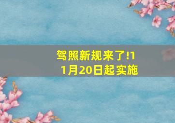 驾照新规来了!11月20日起实施