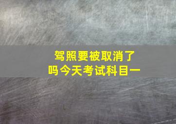 驾照要被取消了吗今天考试科目一