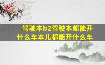 驾驶本b2驾驶本都能开什么车本儿都能开什么车