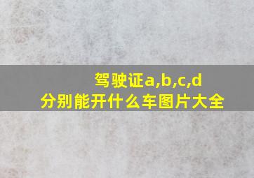 驾驶证a,b,c,d分别能开什么车图片大全