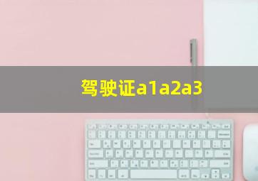 驾驶证a1a2a3