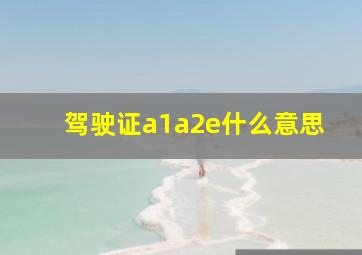 驾驶证a1a2e什么意思