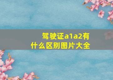 驾驶证a1a2有什么区别图片大全