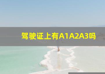 驾驶证上有A1A2A3吗