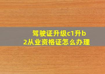 驾驶证升级c1升b2从业资格证怎么办理