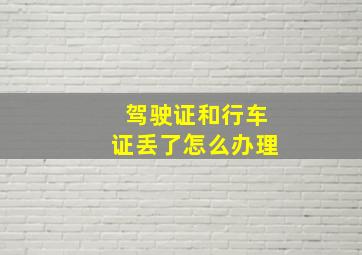 驾驶证和行车证丢了怎么办理