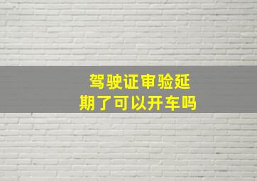 驾驶证审验延期了可以开车吗