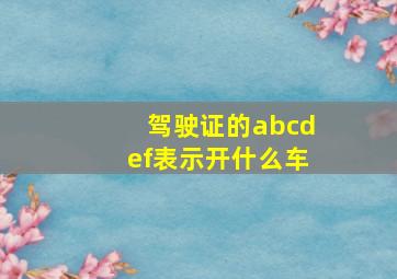 驾驶证的abcdef表示开什么车