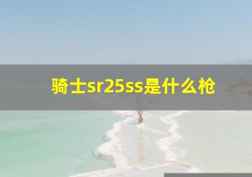 骑士sr25ss是什么枪