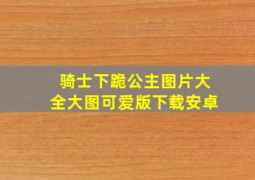 骑士下跪公主图片大全大图可爱版下载安卓