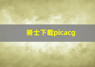 骑士下载picacg