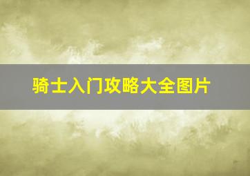 骑士入门攻略大全图片