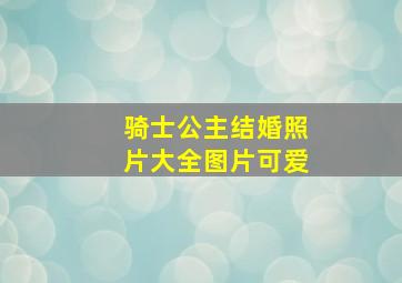 骑士公主结婚照片大全图片可爱