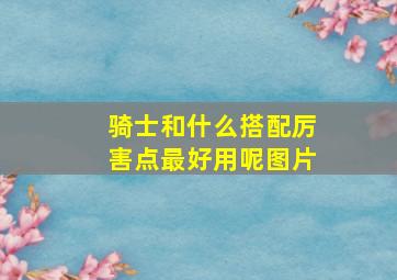 骑士和什么搭配厉害点最好用呢图片