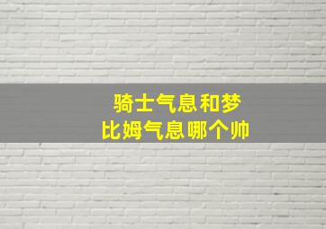 骑士气息和梦比姆气息哪个帅