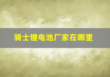 骑士锂电池厂家在哪里