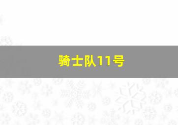 骑士队11号