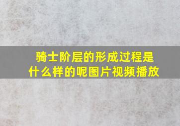 骑士阶层的形成过程是什么样的呢图片视频播放