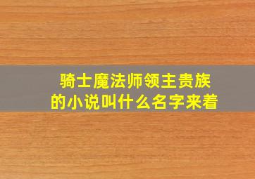 骑士魔法师领主贵族的小说叫什么名字来着